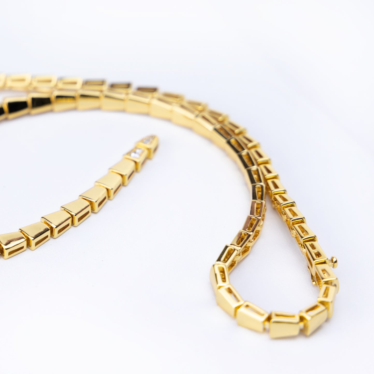 Snake Segment Necklace